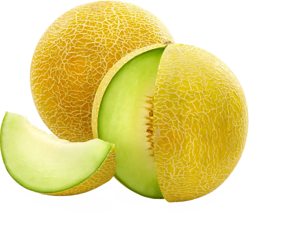 image_not_found